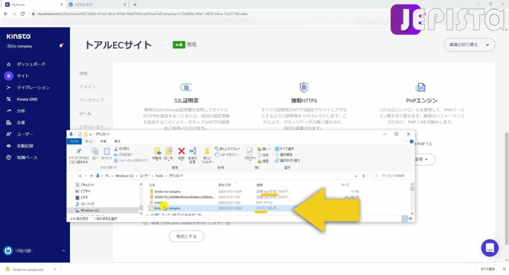 zip形式じゃない kinsta-mu-plugins ファイルが確認